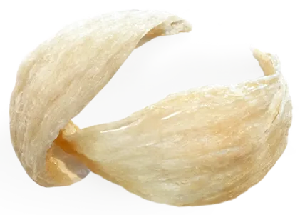 săracă