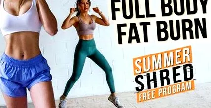 provocare