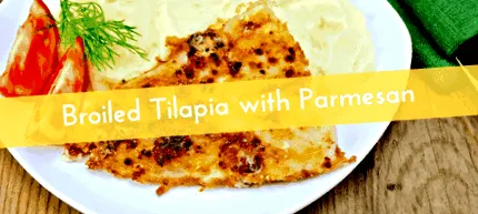 tilapia