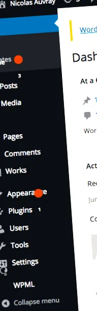 wordpress