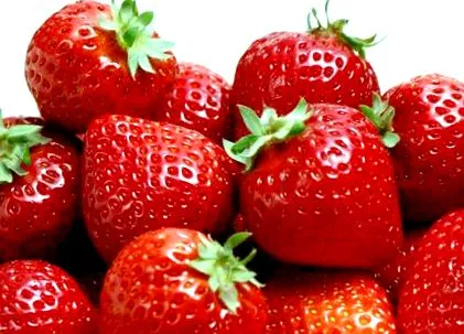 fructe