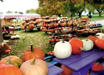 decorațiile
