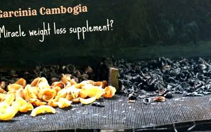 cambogia