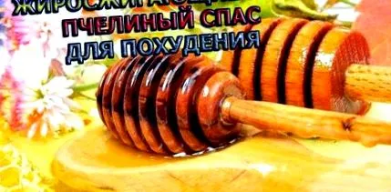 мазнини пчела