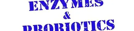 enzime