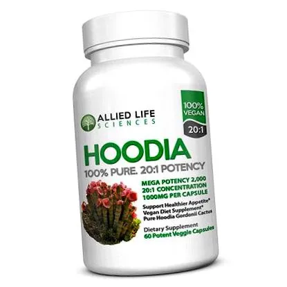 hoodia