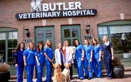 veterinary ветеринарен