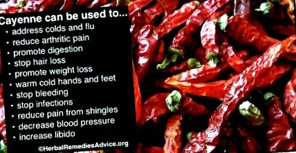 cayenne