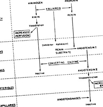 áttekintés ScienceDirect