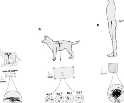 postural