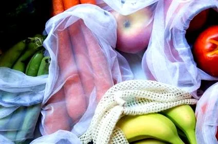 anti-dieta