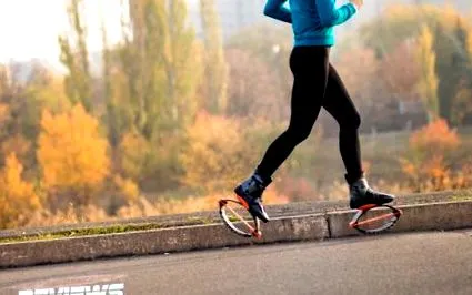 kangoo