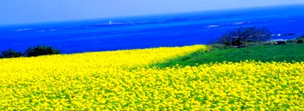 Jeju trip