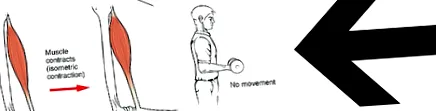 isometrics