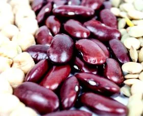 lectins
