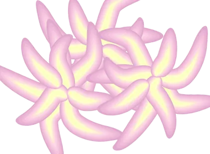 trombocite