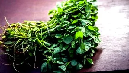 methi