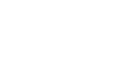 симулатор