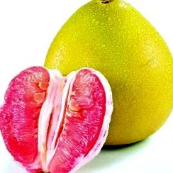 pomelo
