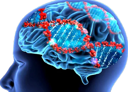 mygenxdna