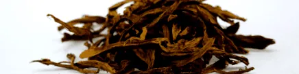 това potentilla