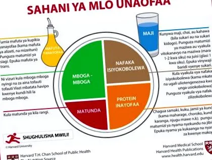 nutrition