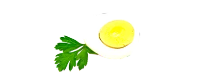 dieta