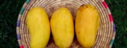 valóban
