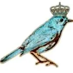 sistemului