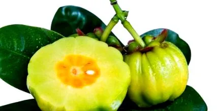 какви garcinia