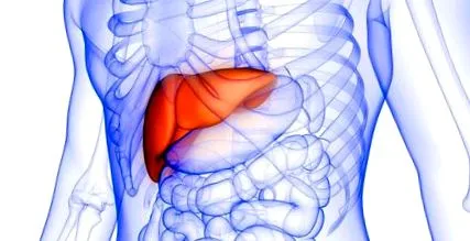 hepatomegalia