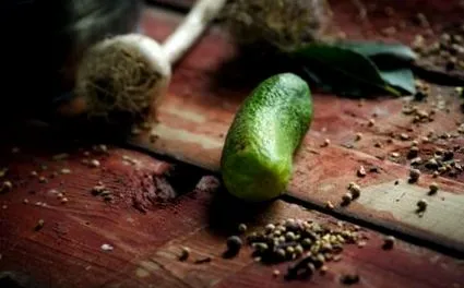 fermentate