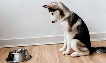 защо