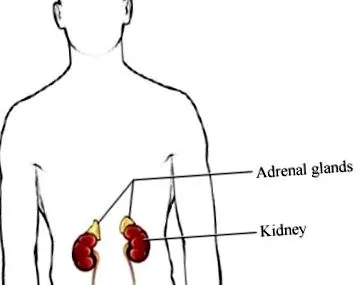 health