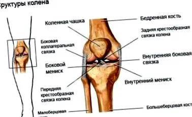 bajkova