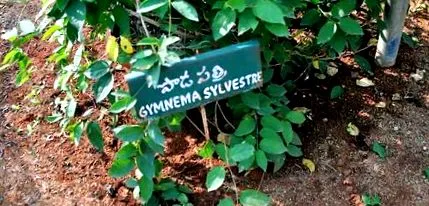 ползите