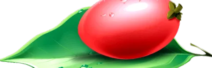 despre
