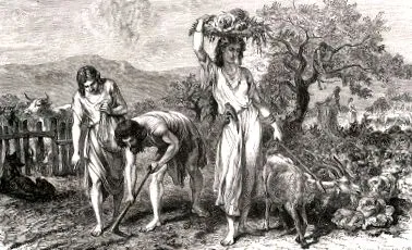kutyák