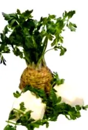 kivonat