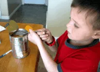 ананас