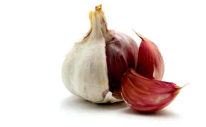 fodmap