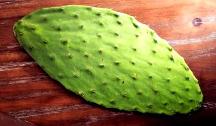 extract cactus