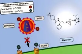 inhibitorilor