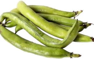 zöldbab