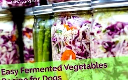 зеленчукова