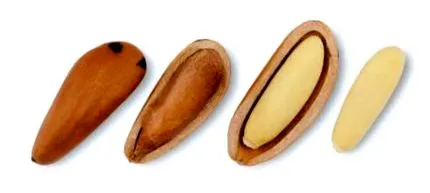 pentru