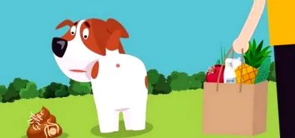 ezeket