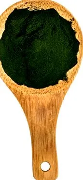tápláló