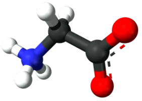 glicina