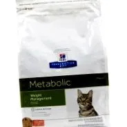 feline